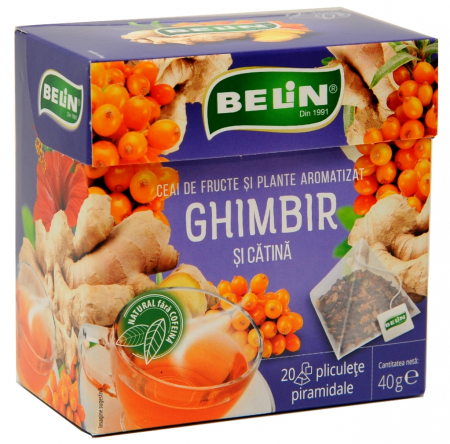 CEAIURI din FRUCTE - Ceai Ghimbir si Catina 20 pl piramidale, 40 g