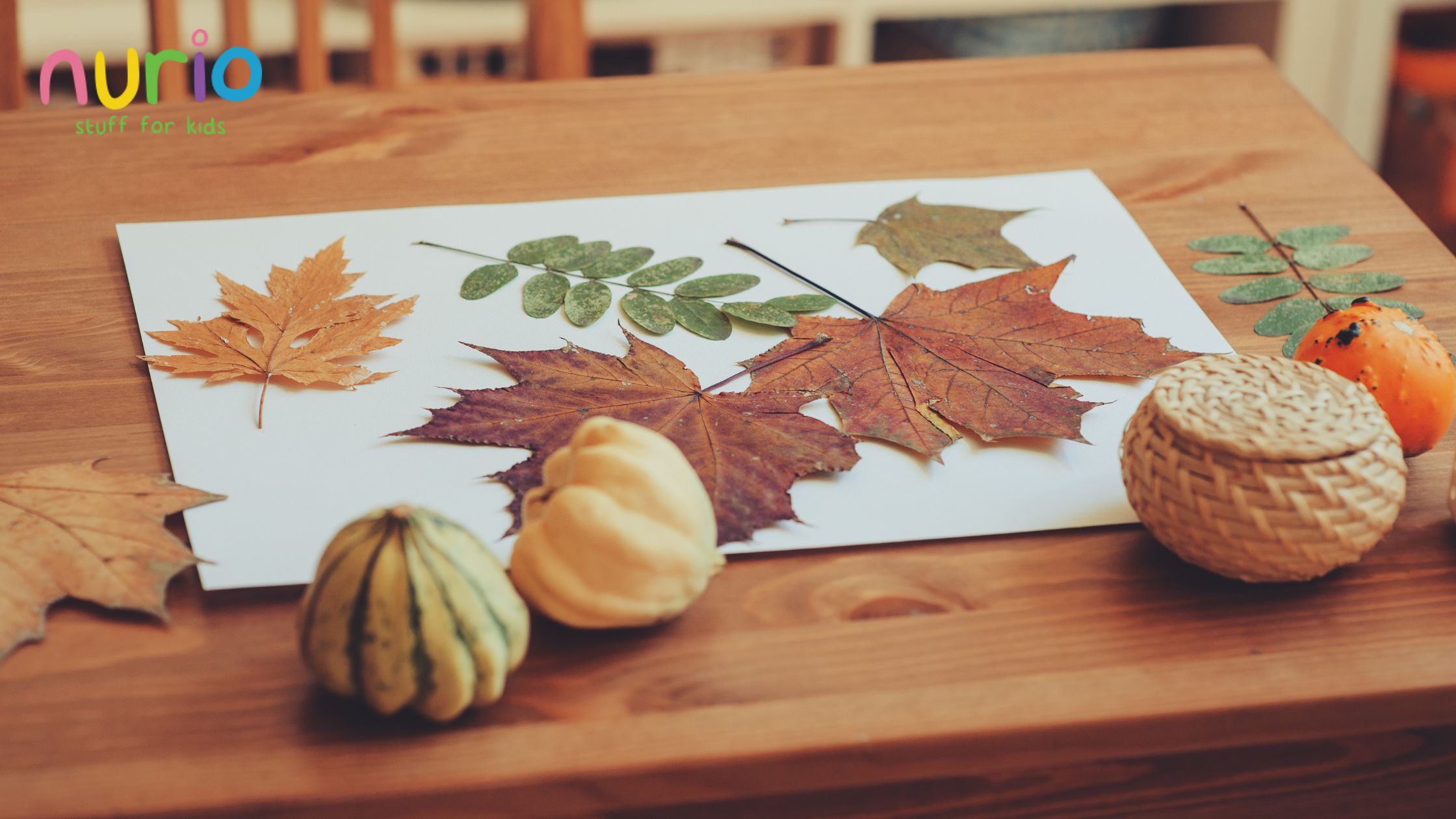 Joaca în aer liber toamna: idei distractive și sigure pentru copii