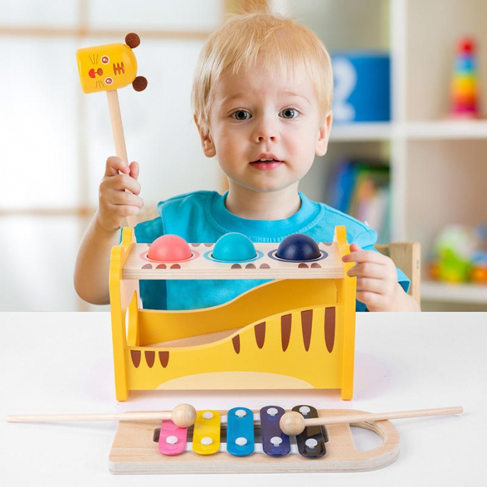Joc Educational Multifunctional cu Xilofon, Pisicuta, Ciocan si Bile Multicolore [2]