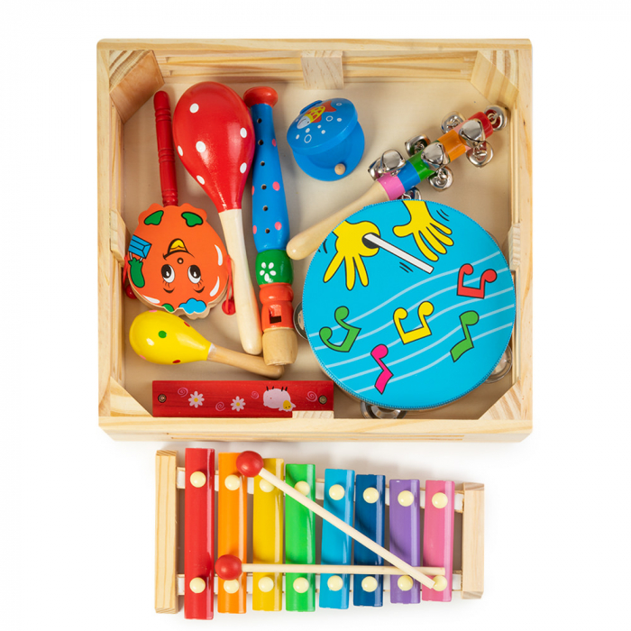 Set 9 instrumente muzicale in cutie din lemn [1]
