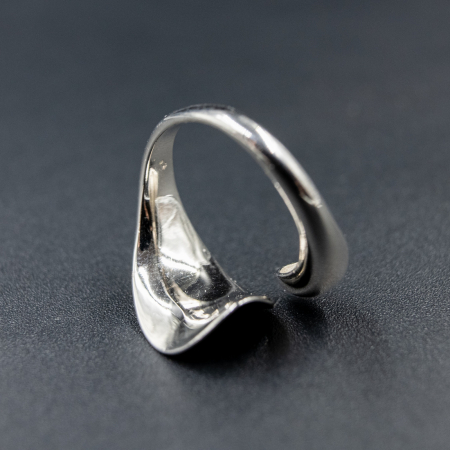 Inel PERPETUUM - Argint 925 [2]