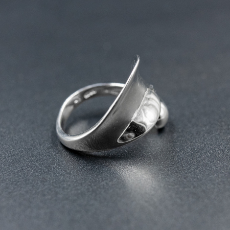 Inel PERPETUUM - Argint 925 [1]