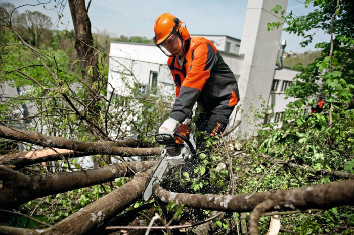 Motofierastrau cu motor pe benzina (drujba) Stihl MS 261 4.1 cp, 40cm [3]