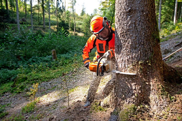 Motofierastrau cu motor pe benzina (drujba) Stihl MS 362 4.8 cp, 40cm [3]