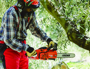 Motofierastrau profesional ECHO CS-2511WES [4]