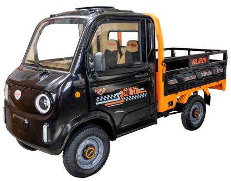 TRICICLURI ELECTRICE - RURIS Pilot 5000 Camionetă electrică