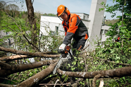 Motofierastrau cu motor pe benzina (drujba) Stihl MS 261 4.1 cp, 40cm [2]