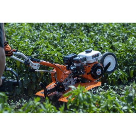 Motosapatoare DAC 7000ACC3 semiprofesionala + accesorii incluse [1]