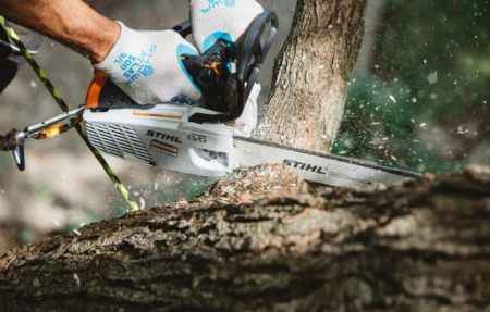 Motofierastrau cu motor pe benzina (drujba) Stihl MS 194T 1.8 CP, 3.3 kg [1]