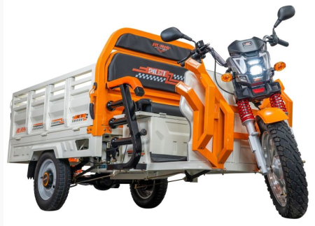 Produse - Triciclu electric cargo RURIS Pilot 3130
