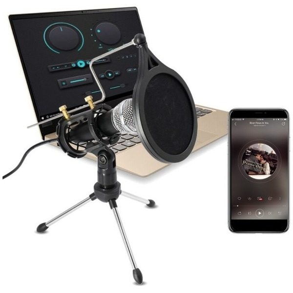 Microfon Profesional de inregistrare vocala si Karaoke pentru Studio, WG-500II [2]