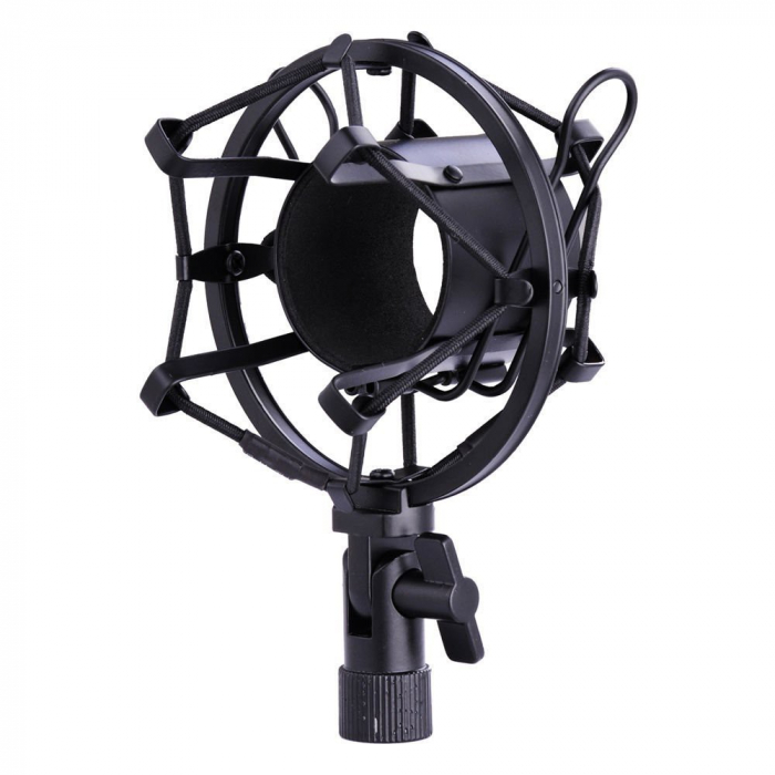 Microfon profesional de Studio si Karaoke cu condensator,BM-800 [2]