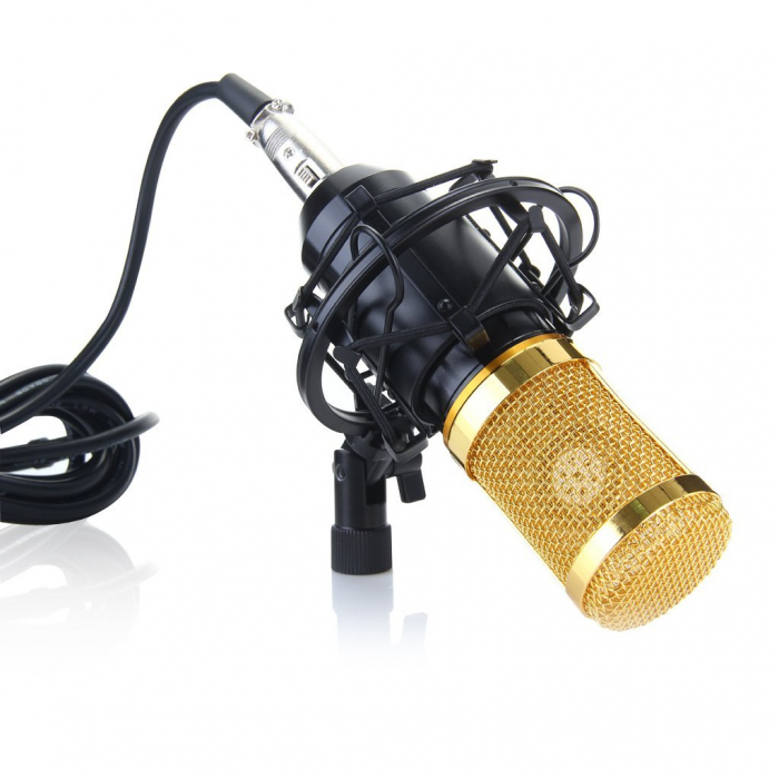 Microfon profesional de Studio si Karaoke cu condensator,BM-800 [3]