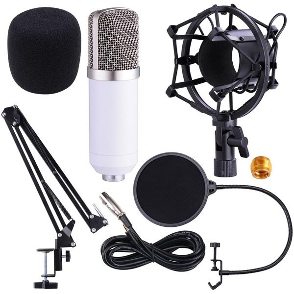 Microfon profesional de Studio Condenser BM-700, inclus brat flexibil cu menghina [2]