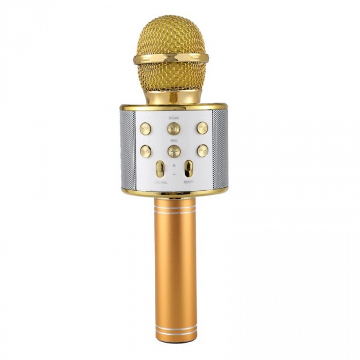 Microfon wireless pentru Karaoke cu Bluetooth WS-858, acumulator incorporat [5]