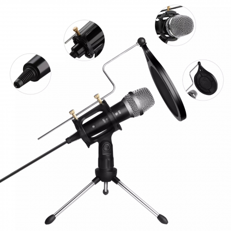 Echipamente petrecere - Microfon Profesional de inregistrare vocala si Karaoke pentru Studio, WG-500II
