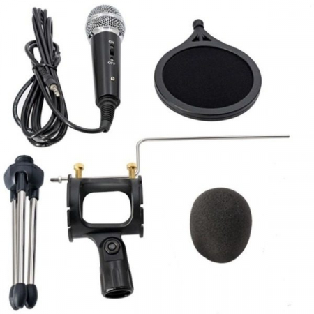 Microfon Profesional de inregistrare vocala si Karaoke pentru Studio, WG-500II [3]