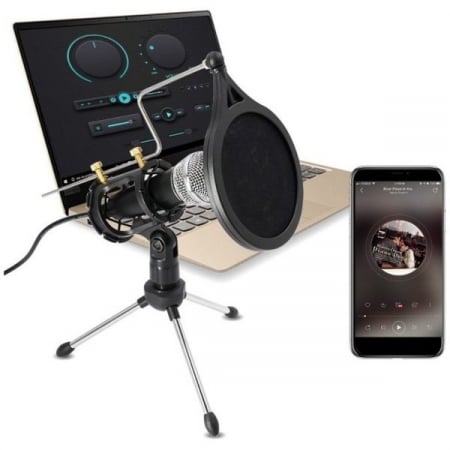 Microfon Profesional de inregistrare vocala si Karaoke pentru Studio, WG-500II [1]