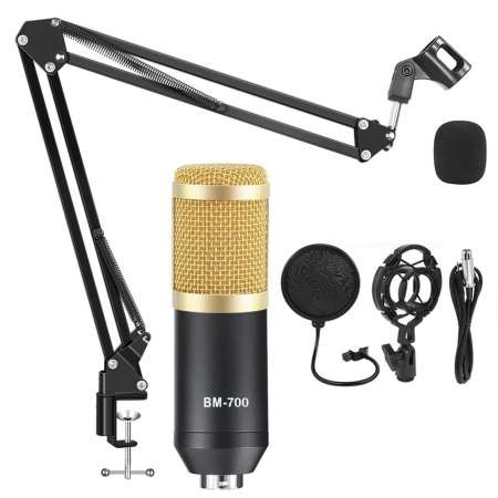 Echipamente petrecere - Microfon profesional de Studio Condenser BM-700, inclus brat flexibil cu menghina