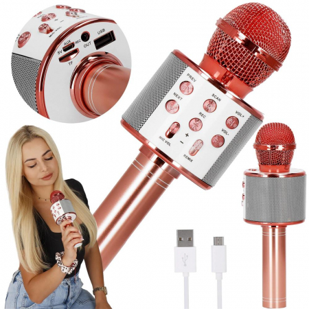Microfoane Karaoke - Microfon wireless pentru Karaoke cu Bluetooth WS-858, acumulator incorporat