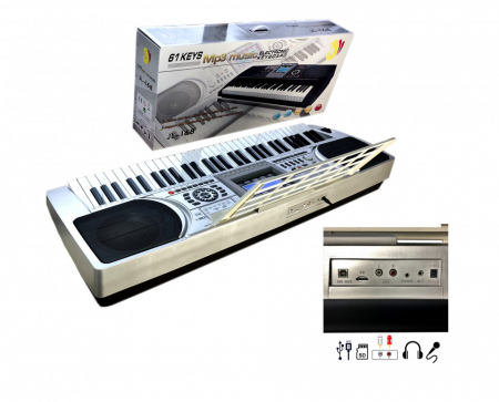 Orga electronica profesionala JL-168, cu 61 clape imitatie pian Touch Sensitive [2]