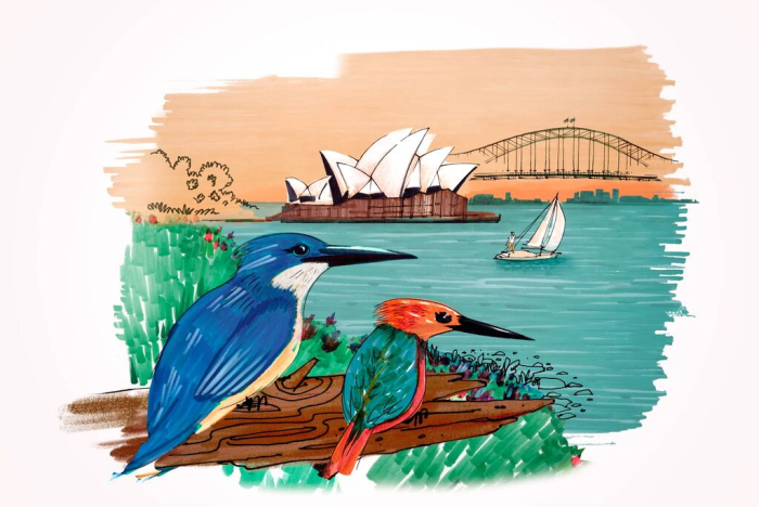 Cutie 12 Culori Pitt Artist Pen Cities Sydney, Faber-Castell [5]