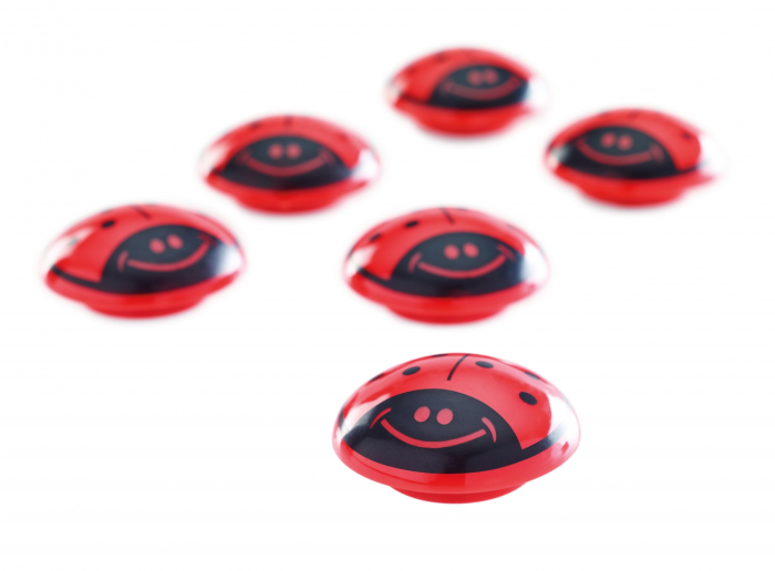 Magneti MAGNETOPLAN buburuza 30mm 6 buc/set [2]
