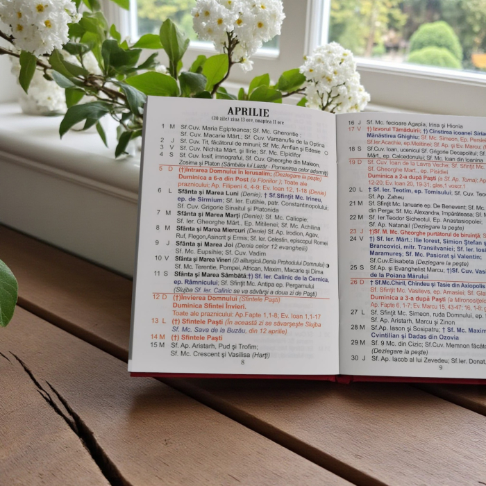 Calendar Crestin Ortodox, tip Carticica de Buzunar cu specificatii pentru fiecare zi, 2026, format A6, 32 pagini, Vision XXI [3]