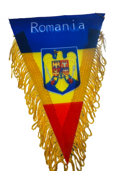 Fanion Romania Vision, tricolor, cu stema [3]