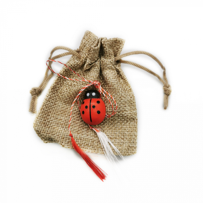 Martisor Brosa Buburuza cu saculet VisionXXI [1]