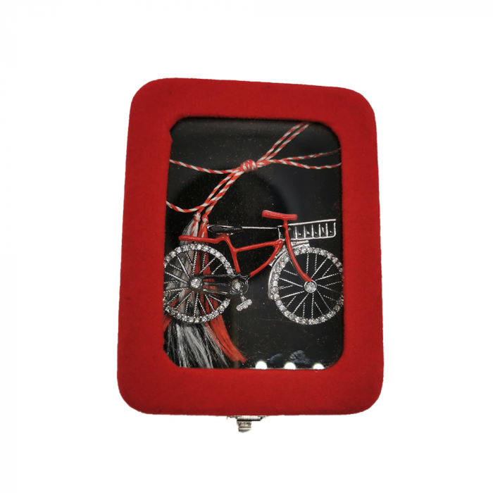 Martisor Brosa Mare, Bicicleta Argintie, in cutie de catifea rosie cu fereastra de sticla, VisionXXI [3]