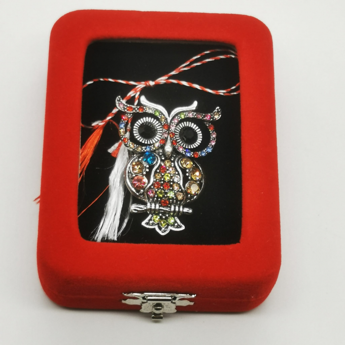 Martisor Brosa Mare in cutie de catifea rosie cu fereastra de sticla, Bufnita cu Ochii Mari, Colectia VisionXXI [3]
