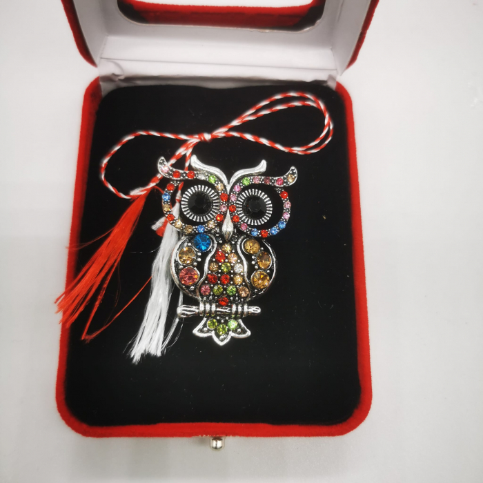 Martisor Brosa Mare in cutie de catifea rosie cu fereastra de sticla, Bufnita cu Ochii Mari, Colectia VisionXXI [4]