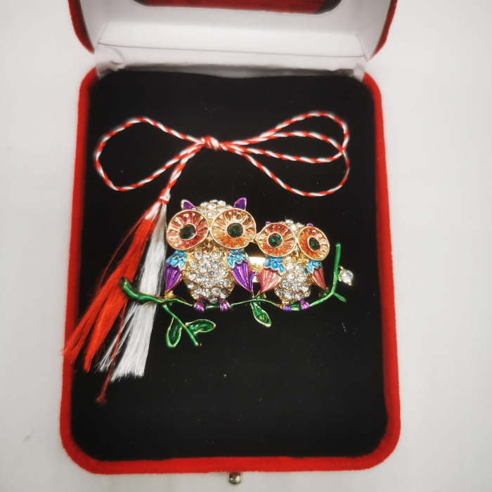 Martisor Brosa Mare in cutie de catifea rosie cu fereastra de sticla, Doua Bufnite Colorate, Colectia VisionXXI [3]