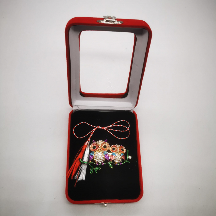 Martisor Brosa Mare in cutie de catifea rosie cu fereastra de sticla, Doua Bufnite Colorate, Colectia VisionXXI [4]
