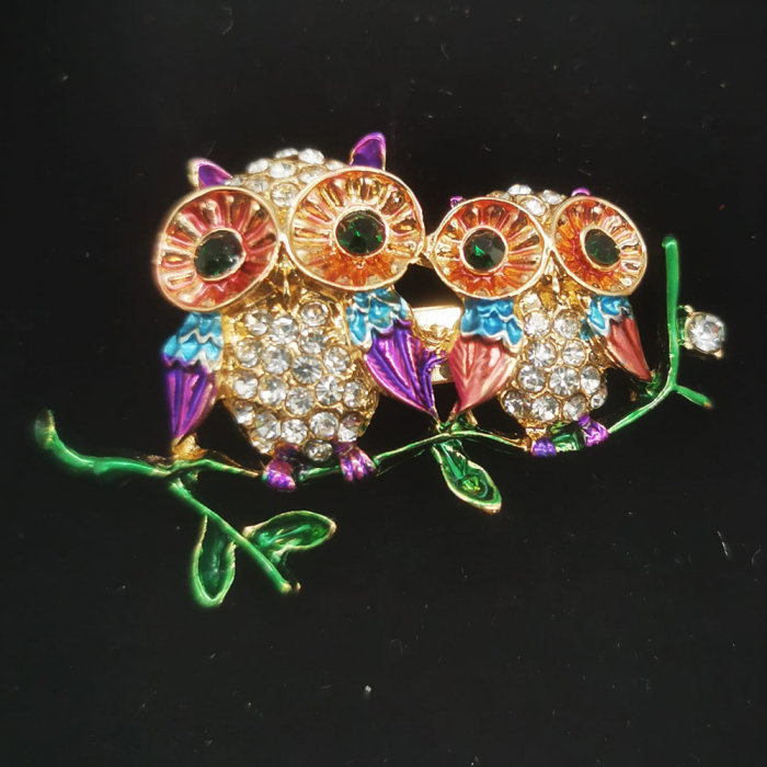 Martisor Brosa Mare in cutie de catifea rosie cu fereastra de sticla, Doua Bufnite Colorate, Colectia VisionXXI [2]