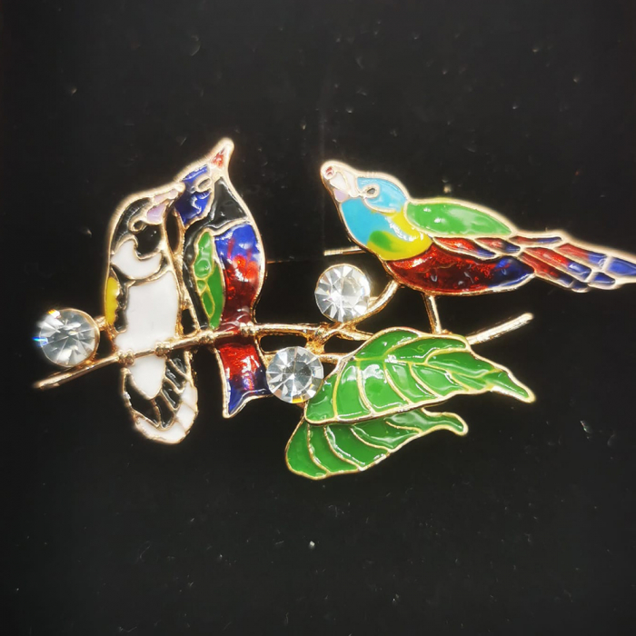 Martisor Brosa Mare in cutie de catifea rosie cu fereastra de sticla, Pasaroi si Pasarele, VisionXXI [2]