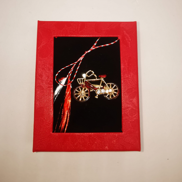 Martisor Brosa Mijlocie in cutie satinata rosie cu fereastra de sticla, Bicicleta Clasica, pe fond negru, Colectia VisionXXI [2]