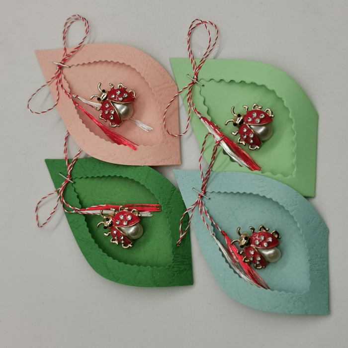 Set 4 Martisoare tip Brosa, "Buburuza Fermecata", pe cutie de carton decupat, VisionXXI [2]