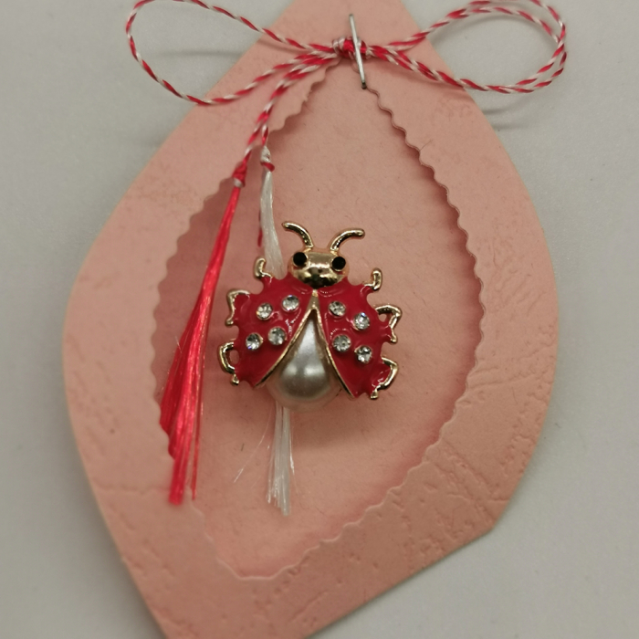 Set 4 Martisoare tip Brosa, "Buburuza Fermecata", pe cutie de carton decupat, VisionXXI [5]