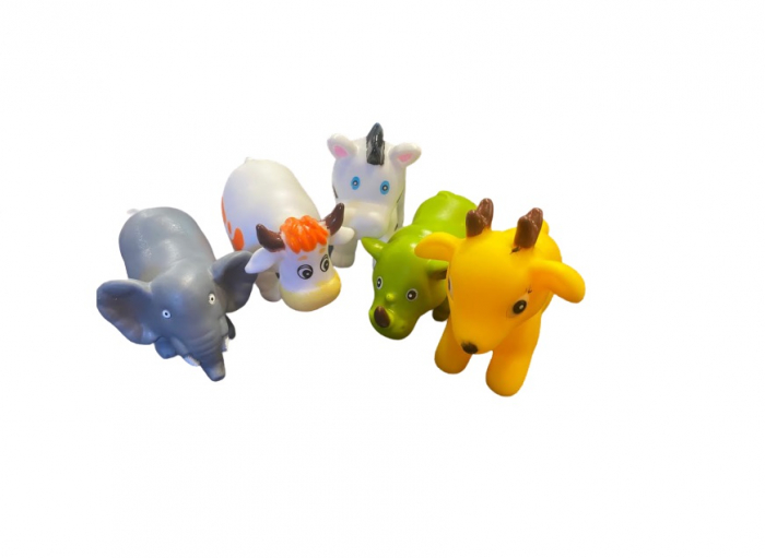 Set 5 chitaitori-animale Vision [2]