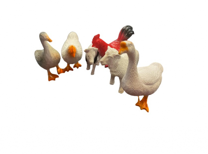 Set de 6 animale domestice, 7 cm, Vision [2]