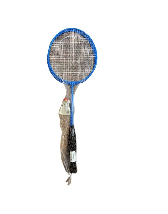Set rachete de Badminton -Vision, albastre cu fluturas [1]