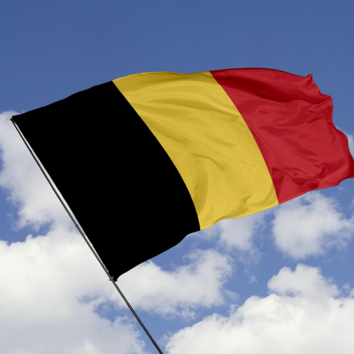 Steag Belgia, dimensiune 150x90cm, poliester, Vision XXI [3]
