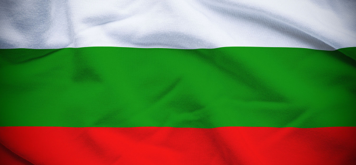 Steag Bulgaria, dimensiune 150x90cm, poliester, Vision XXI [2]
