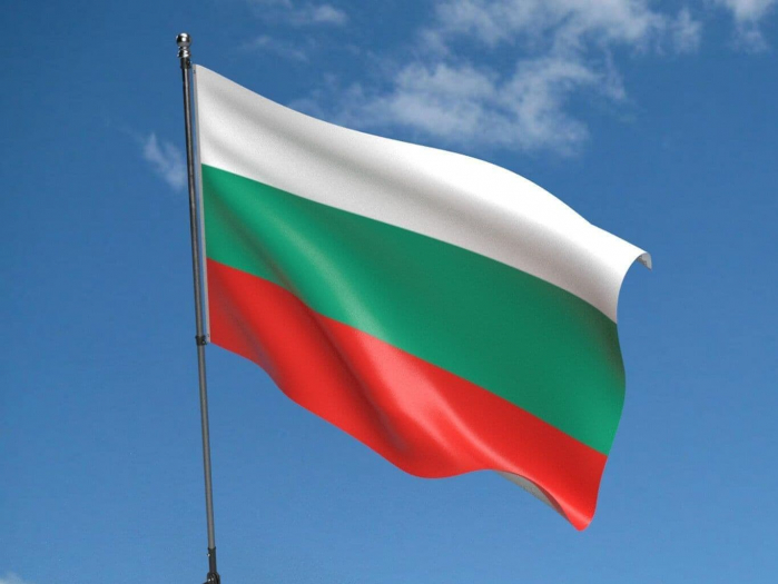 Steag Bulgaria, dimensiune 150x90cm, poliester, Vision XXI [3]