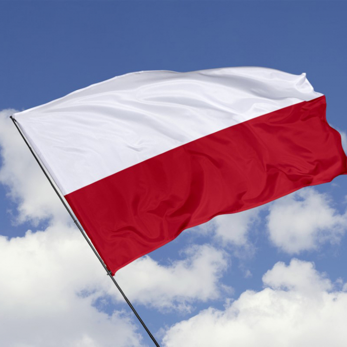 Steag Polonia, dimensiune 150x90cm, poliester, Vision XXI [4]