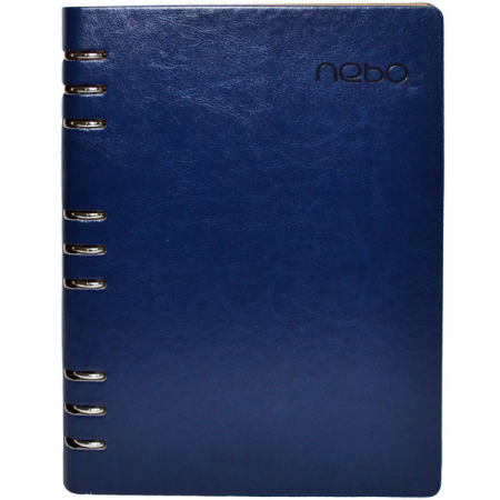 Agende si calendare - Agenda Vision, de tip organizer, model B5