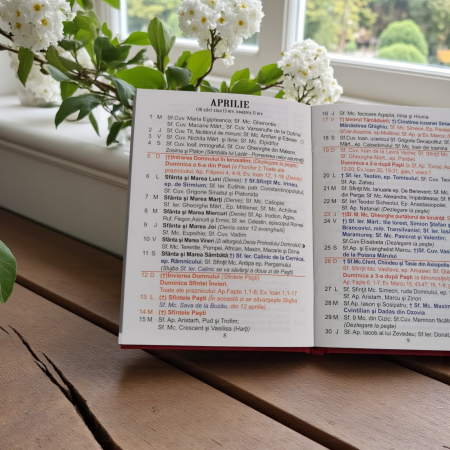 Calendar Crestin Ortodox, tip Carticica de Buzunar cu specificatii pentru fiecare zi, 2026, format A6, 32 pagini, Vision XXI [2]