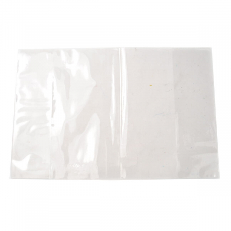 Aparate de indosariat si accesorii - Coperta transparenta Vision, pentru pasaport RO